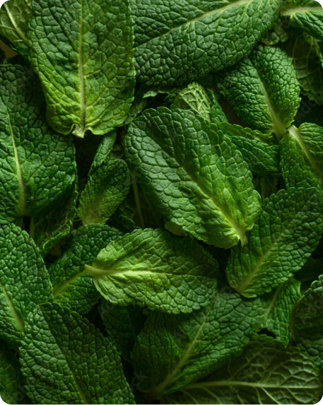 Naturali